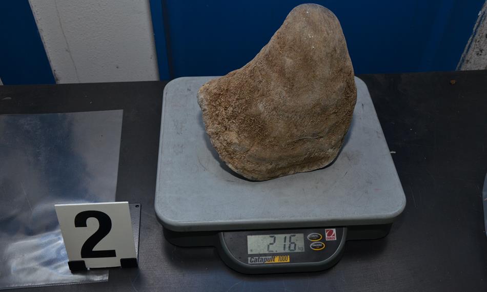 2014-1-15-1346foto 9.JPG